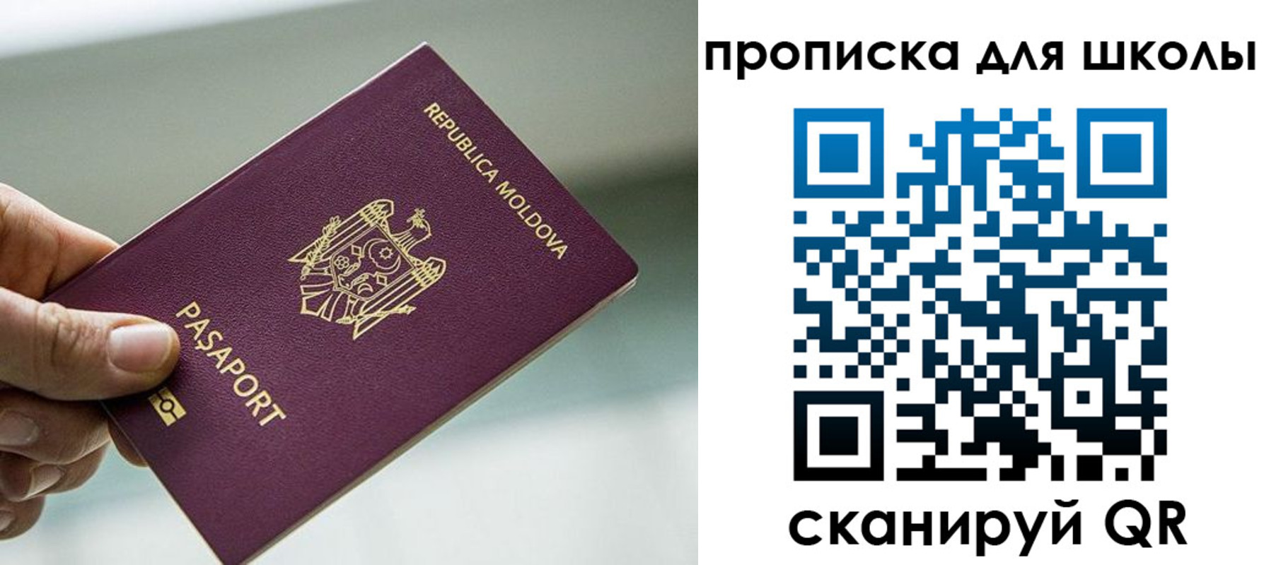 прописка в квартире в Мариинском Посаде